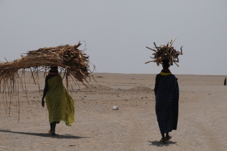 Turkana women transporting wood